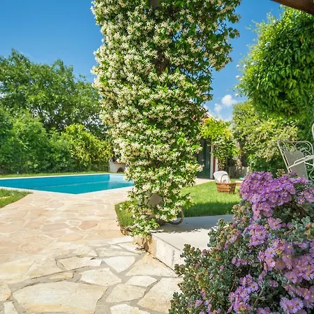 Averto Luxury Mansion فيلة
